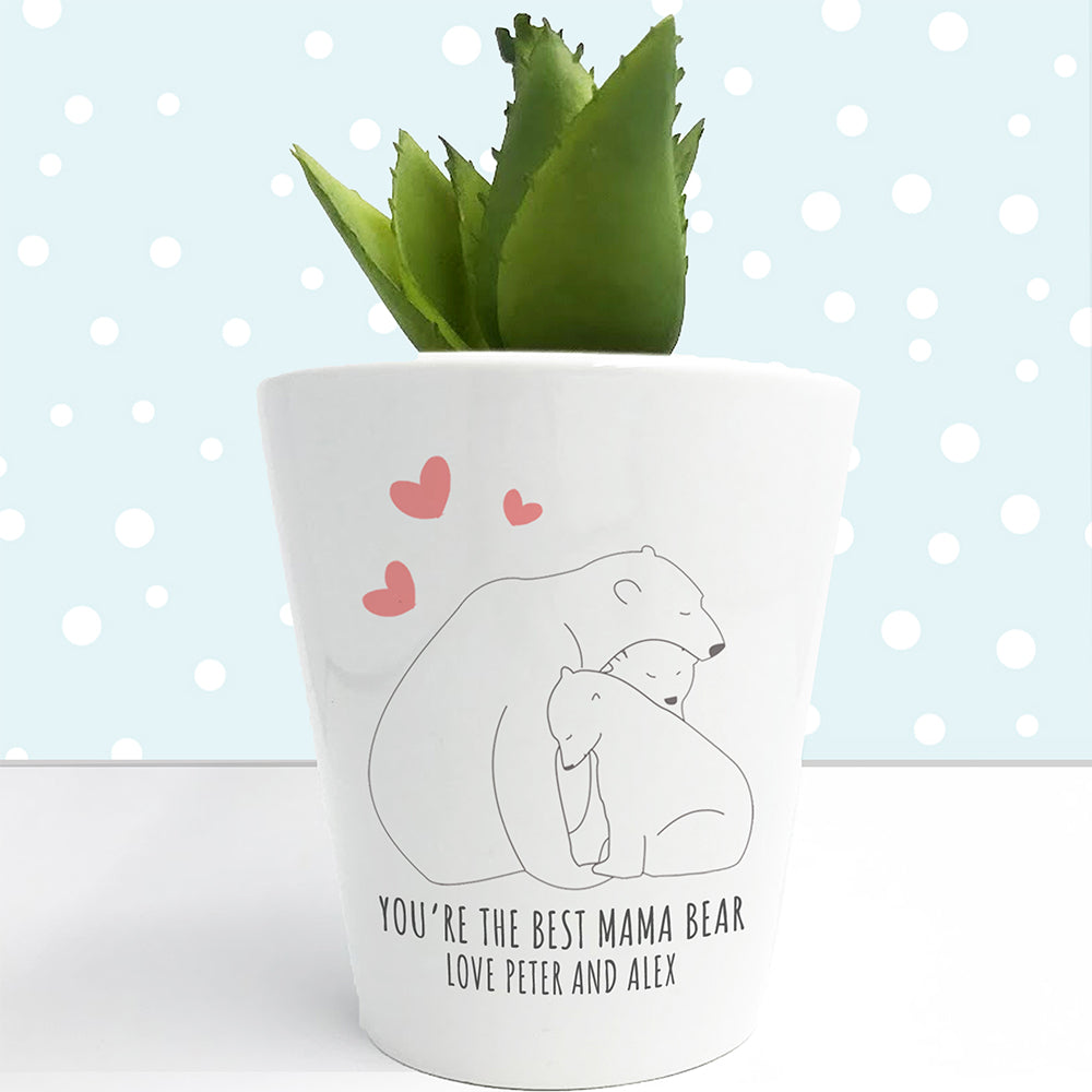 Personalised The Best Mama Bear Mini Plant Pot Gift